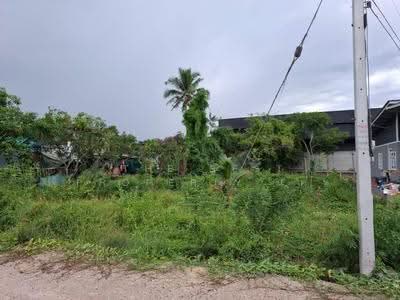 ขาย - ที่ดินดำเนินสะดวก ราชบุรี, ราชบุรี
