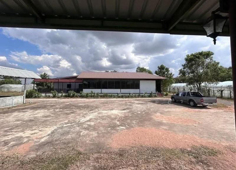 บ้านเดี่ยวพร้อมที่ดินบ้านไผ่ ขอนแก่น, Khon Kaen, Ban Phai, Khon Kaen, 6 Bedrooms, 100 sqm, Single Detached House For Sale, by The Best Property อัคร, 500550116 - DDproperty.com