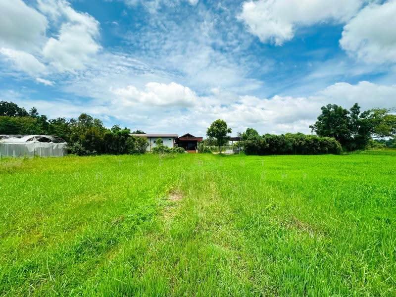 บ้านเดี่ยวพร้อมที่ดินบ้านไผ่ ขอนแก่น, Khon Kaen, Ban Phai, Khon Kaen, 6 Bedrooms, 100 sqm, Single Detached House For Sale, by The Best Property อัคร, 500550116 - DDproperty.com
