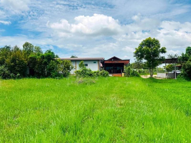 บ้านเดี่ยวพร้อมที่ดินบ้านไผ่ ขอนแก่น, ขอนแก่น, บ้านไผ่, ขอนแก่น, 100 ตร.ม., บ้านเดี่ยว ขาย, โดย The Best Property อัคร, 500550116 - DDproperty.com