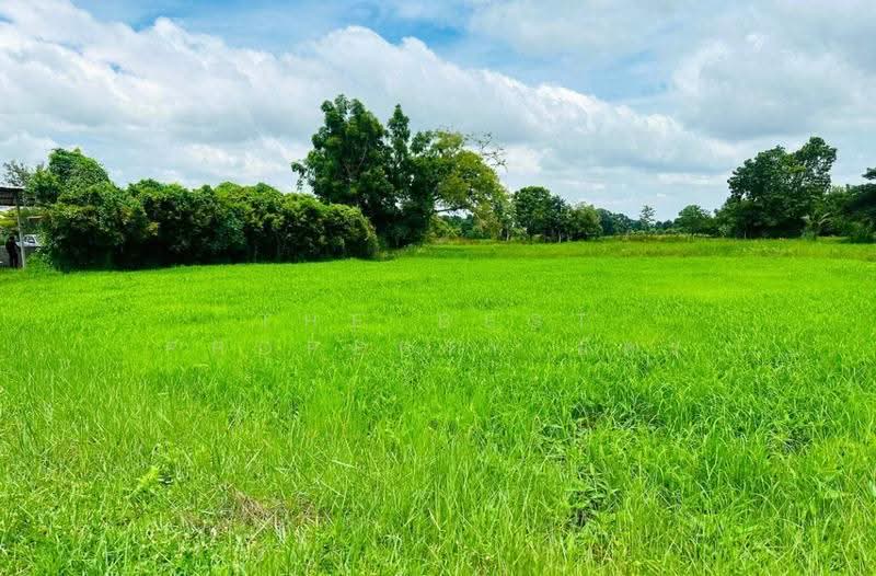 บ้านเดี่ยวพร้อมที่ดินบ้านไผ่ ขอนแก่น, Khon Kaen, Ban Phai, Khon Kaen, 6 Bedrooms, 100 sqm, Single Detached House For Sale, by The Best Property อัคร, 500550116 - DDproperty.com