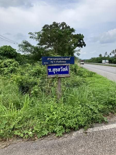 ที่ดินพร้อมไม้พะยูง 3 ไร่ 2 งาน อ.หลังสวน ชุมพร, ชุมพร, ทางหลวงสายเอเชีย, บ้านควน, หลังสวน, ชุมพร, 5,764 ตร.ม., ที่ดิน ขาย, โดย วีรนุช จินาเพ็ญ, 500550277 - DDproperty.com