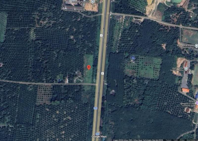 3 Rai 2 Ngarn with 300 Asian Rosewood Trees on Asian Highway, Chumphon Province, Chumphon, ทางหลวงสายเอเชีย, Ban Khuan, Lang Suan, Chumphon, , 5,764 sqm, Land For Sale, by วีรนุช จินาเพ็ญ, 500550277 - DDproperty.com