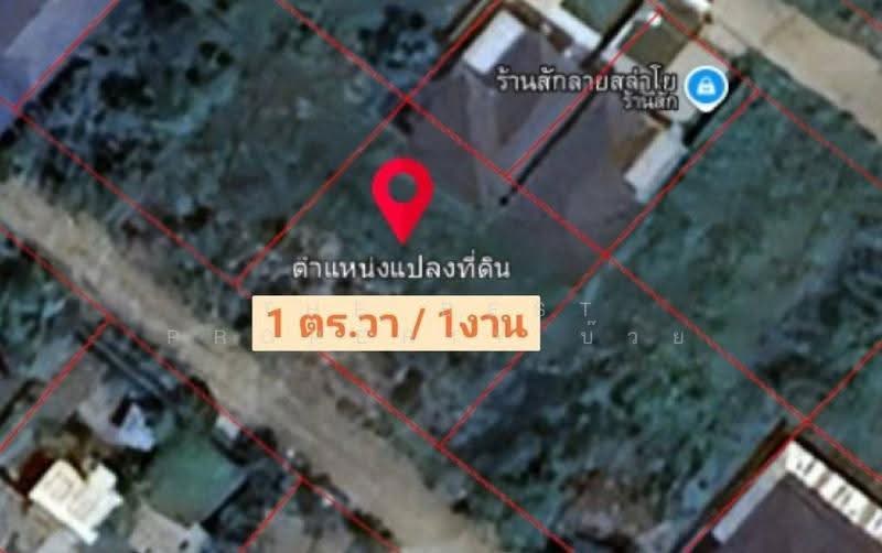 ที่ดินบ้านดู่ เชียงราย, Chiang Rai, Ban Du, Muang Chiang Rai, Chiang Rai, , 400 sqm, Land For Sale, by The Best Property บ๊วย, 500550296 - DDproperty.com