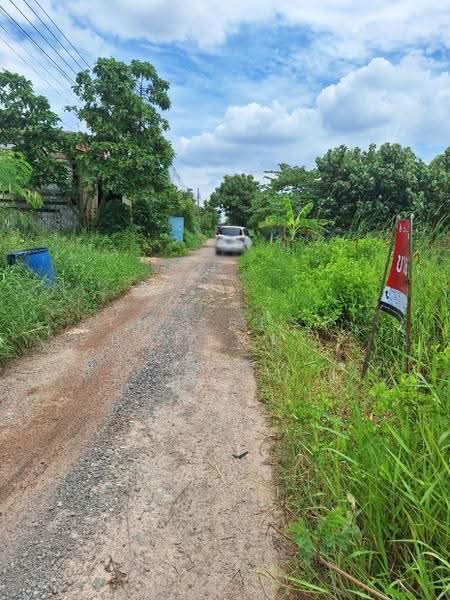 ที่ดินบางขุนเทียน กรุงเทพมหานคร, Bangkok, Samae Dam, Bang Khun Thian, Bangkok, , 200 sqm, Land For Sale, by The Best Property เล็ก, 500550353 - DDproperty.com