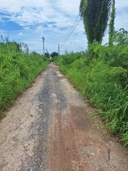 ที่ดินบางขุนเทียน กรุงเทพมหานคร, Bangkok, Samae Dam, Bang Khun Thian, Bangkok, , 200 sqm, Land For Sale, by The Best Property เล็ก, 500550353 - DDproperty.com