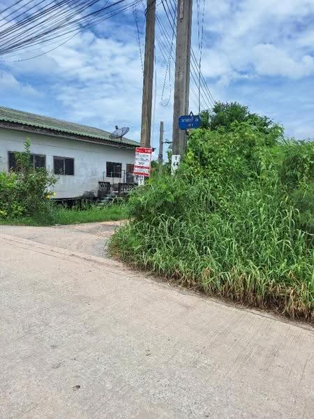 ที่ดินบางขุนเทียน กรุงเทพมหานคร, Bangkok, Samae Dam, Bang Khun Thian, Bangkok, , 200 sqm, Land For Sale, by The Best Property เล็ก, 500550353 - DDproperty.com