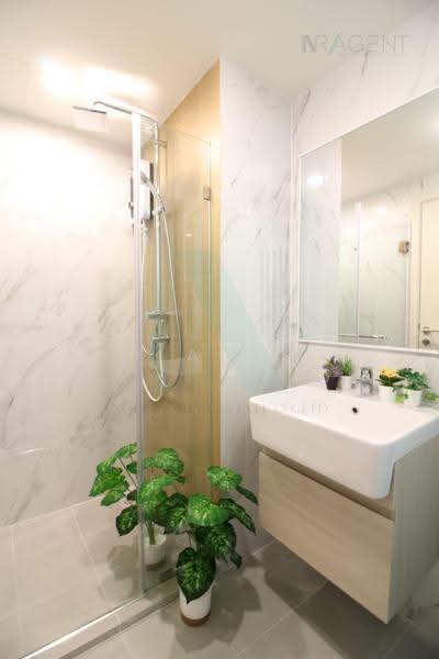 The Excel Hideaway Sukhumvit 50, Bangkok, 1112 Roem Charoen Alley, Phra Kanong, Khlong Toei, Bangkok, 1 Bedroom, 29 sqm, Condo For Sale, by NR AGENT, 500550515 - DDproperty.com