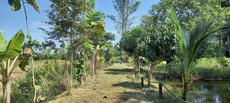 1-BR House in Nong Kaeo, ปราจีนบุรี, หนองแก้ว, ประจันตคาม, ปราจีนบุรี, 47 ตร.ม., บ้านเดี่ยว ขาย, โดย Rasita Maneelam, 500550606 - DDproperty.com