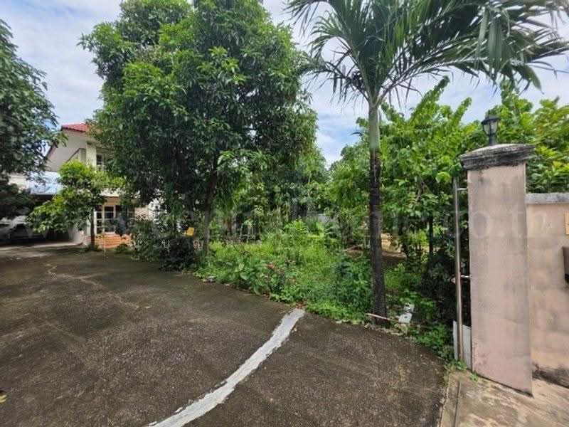 บางกร่าง 62, Nonthaburi, ราชพฤกษ์, Bang Krang, Muang Nonthaburi, Nonthaburi, 4 Bedrooms, 230 sqm, Single Detached House For Sale, by คุณบุญนำ ( นำ ), 500550783 - DDproperty.com