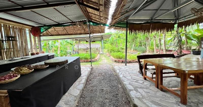 Tropical 3-4 Bed Pool Villa with Large Land in Bangrak, สุราษฎร์ธานี, บ่อผุด, เกาะสมุย, สุราษฎร์ธานี, 3,200 ตร.ม., วิลล่า ขาย, โดย Conrad Properties, 500550808 - DDproperty.com