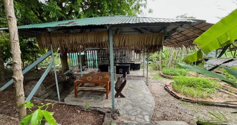 Tropical 3-4 Bed Pool Villa with Large Land in Bangrak, สุราษฎร์ธานี, บ่อผุด, เกาะสมุย, สุราษฎร์ธานี, 3,200 ตร.ม., วิลล่า ขาย, โดย Conrad Properties, 500550808 - DDproperty.com