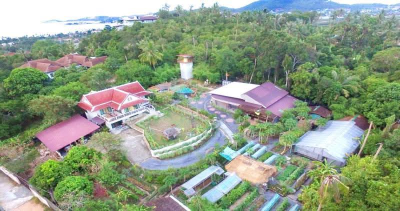 Tropical 3-4 Bed Pool Villa with Large Land in Bangrak, Surat Thani, Bo Put, Ko Samui, Surat Thani, 3 Bedrooms, 3,200 sqm, Villa For Sale, by Conrad Properties, 500550808 - DDproperty.com