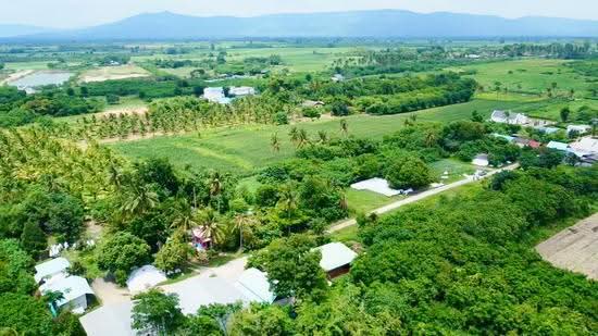 ที่ดิน เขาใหญ่ ปากช่อง 101ตร.ว.( น.ส4จ ) 300,000, Nakhon Ratchasima, มิตรภาพ, Wang Zai, Pak Chong, Nakhon Ratchasima, , 404 sqm, Land For Sale, by Wasan Wasati, 500550868 - DDproperty.com