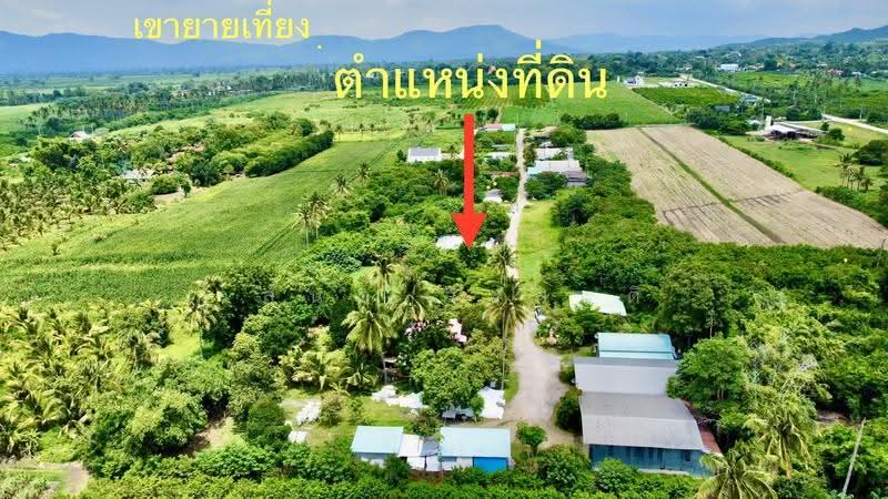 ที่ดิน เขาใหญ่ ปากช่อง 101ตร.ว.( น.ส4จ ) 300,000, นครราชสีมา, มิตรภาพ, วังไทร, ปากช่อง, นครราชสีมา, 404 ตร.ม., ที่ดิน ขาย, โดย วสันต์ วะสะติ, 500550868 - DDproperty.com