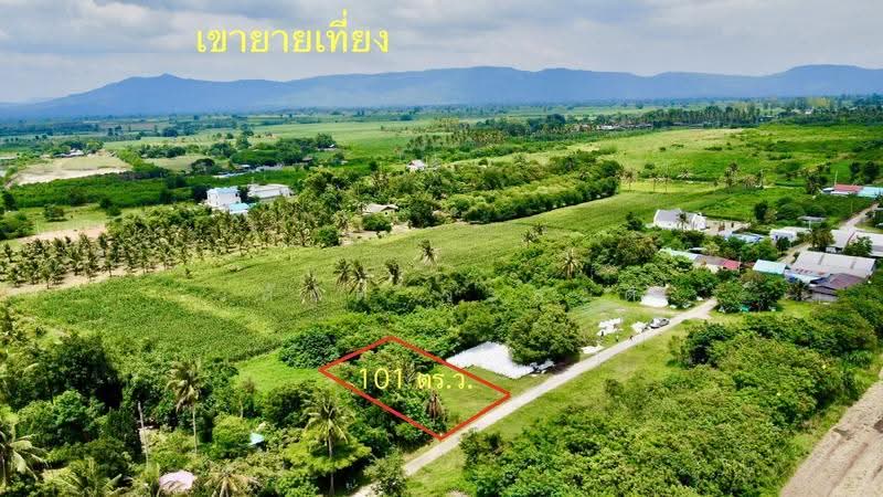 ที่ดิน เขาใหญ่ ปากช่อง 101ตร.ว.( น.ส4จ ) 300,000, นครราชสีมา, มิตรภาพ, วังไทร, ปากช่อง, นครราชสีมา, 404 ตร.ม., ที่ดิน ขาย, โดย วสันต์ วะสะติ, 500550868 - DDproperty.com