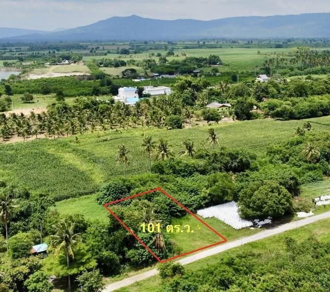ที่ดิน เขาใหญ่ ปากช่อง 101ตร.ว.( น.ส4จ ) 300,000, นครราชสีมา, มิตรภาพ, วังไทร, ปากช่อง, นครราชสีมา, 404 ตร.ม., ที่ดิน ขาย, โดย วสันต์ วะสะติ, 500550868 - DDproperty.com