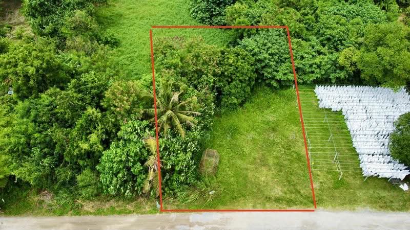 ที่ดิน เขาใหญ่ ปากช่อง 101ตร.ว.( น.ส4จ ) 300,000, Nakhon Ratchasima, มิตรภาพ, Wang Zai, Pak Chong, Nakhon Ratchasima, , 404 sqm, Land For Sale, by Wasan Wasati, 500550868 - DDproperty.com