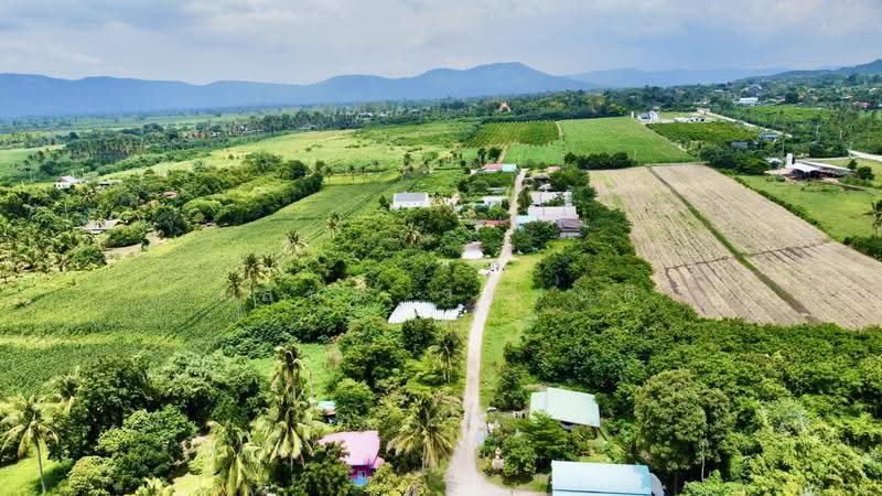 ที่ดิน เขาใหญ่ ปากช่อง 101ตร.ว.( น.ส4จ ) 300,000, Nakhon Ratchasima, มิตรภาพ, Wang Zai, Pak Chong, Nakhon Ratchasima, , 404 sqm, Land For Sale, by Wasan Wasati, 500550868 - DDproperty.com