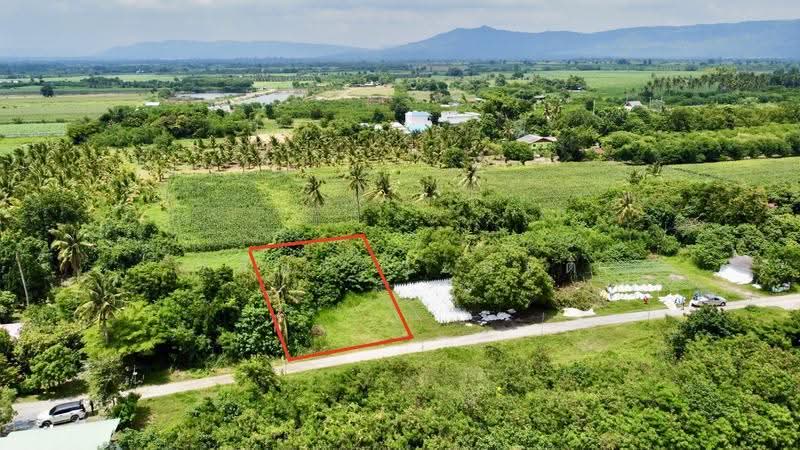 ที่ดิน เขาใหญ่ ปากช่อง 101ตร.ว.( น.ส4จ ) 300,000, Nakhon Ratchasima, มิตรภาพ, Wang Zai, Pak Chong, Nakhon Ratchasima, , 404 sqm, Land For Sale, by Wasan Wasati, 500550868 - DDproperty.com
