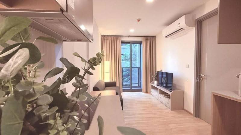 Taka Haus, Bangkok, 99 Soi Ekamai 10, Khlong Tan Nua, Watthana, Bangkok, 1 Bedroom, 30 sqm, Condo For Rent, by Thanyalak Ajmera, 500550886 - DDproperty.com