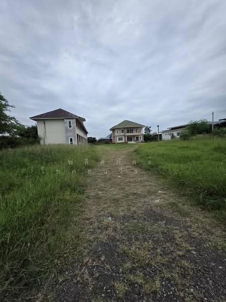 37 ล้าน ได้ทั้ง “ที่ดิน + บ้านหลังใหญ่ + หอพัก 20 ห้อง” กลางเมืองโคราช, nakhon-ratchasima, Nai Muang, Muang Nakhon Ratchasima, Nakhon Ratchasima, , 600 sqm, Business For Sale, by พลิศภัสร์ โชคธนวีระกานต์, 500550896 - DDproperty.com