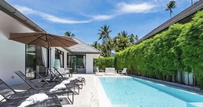 Modern 3-Bed Fully Furnished Pool Villa in Lamai, Surat Thani, Maret, Ko Samui, Surat Thani, 3 Bedrooms, 400 sqm, Villa For Sale, by Conrad Properties, 500550905 - DDproperty.com
