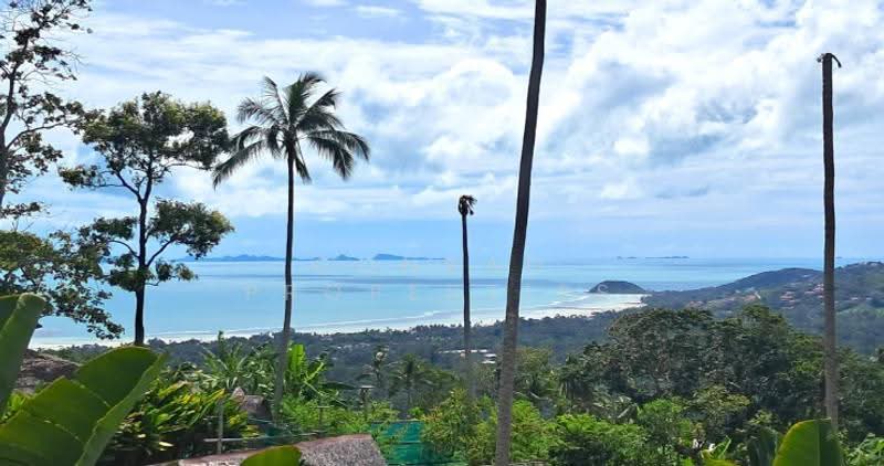 Sleek 1 Bed Sea view Investment Villas in Nathon, Surat Thani, Lipa Noi, Ko Samui, Surat Thani, 1 Bedroom, 105 sqm, Villa For Sale, by Conrad Properties, 500550971 - DDproperty.com