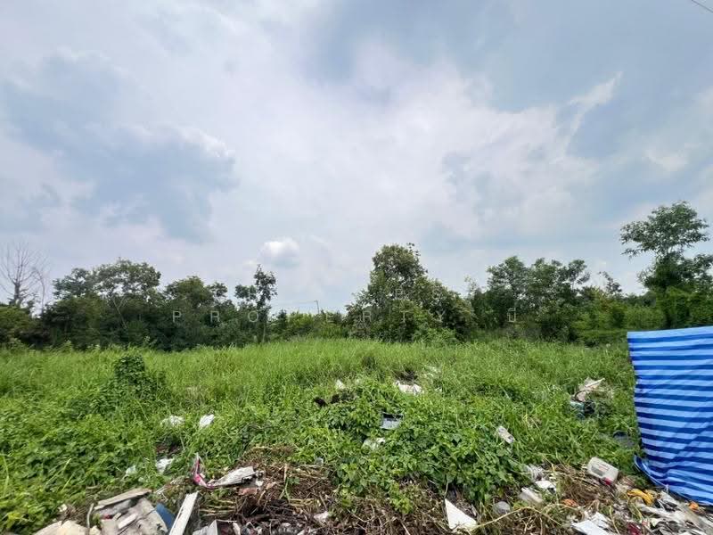 ที่ดินบางบัวทอง นนทบุรี, Nonthaburi, Bang Bua Thong, Nonthaburi, , 300 sqm, Land For Sale, by The Best Property บี, 500550999 - DDproperty.com