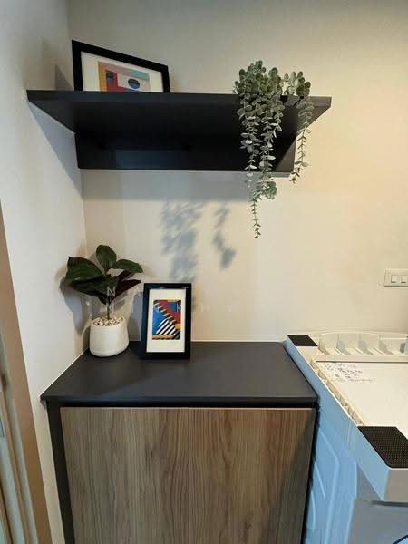 The Line Vibe, Bangkok, Jom Phon, Chatuchak, Bangkok, 1 Bedroom, 33 sqm, Condo For Rent, by Natthaya Ninkhwan, 500551000 - DDproperty.com