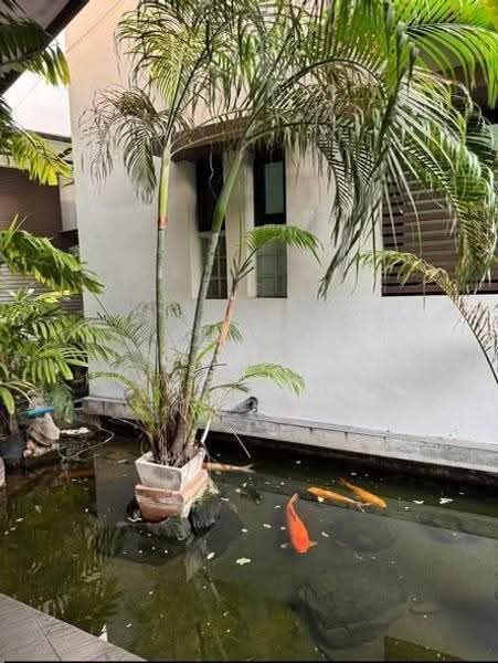 Baan Sasida, Bangkok, 19/1 Sukhumvit, Khong Tan, Khlong Toei, Bangkok, 3 Bedrooms, 220 sqm, Apartment For Rent, by Dechatorn Chichaiyang, 500551110 - DDproperty.com
