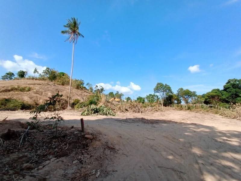 ที่ดินเกาะสมุย สุราษฎร์ธานี, Surat Thani, Taling Ngam, Ko Samui, Surat Thani, , 19,184 sqm, Land For Sale, by Thanitcha Kangkasuwanno, 500551160 - DDproperty.com