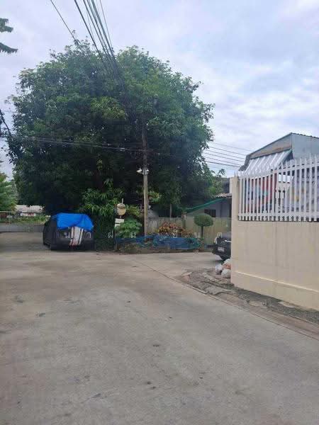 สุ-สม แมนชั่น, Bangkok, Tha Rang, Bang Khen, Bangkok, , 1,088 sqm, Business For Sale, by น้ำฝน ปินตา, 500551204 - DDproperty.com