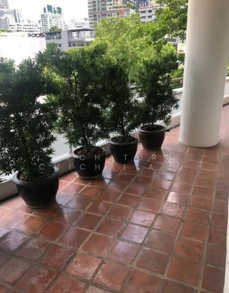 Ma Peng Seng Apartment, Bangkok, Soi Sukhumvit 31, Khlongtoei Nua, Watthana, Bangkok, 3 Bedrooms, 245 sqm, Apartment For Rent, by Dechatorn Chichaiyang, 500551479 - DDproperty.com