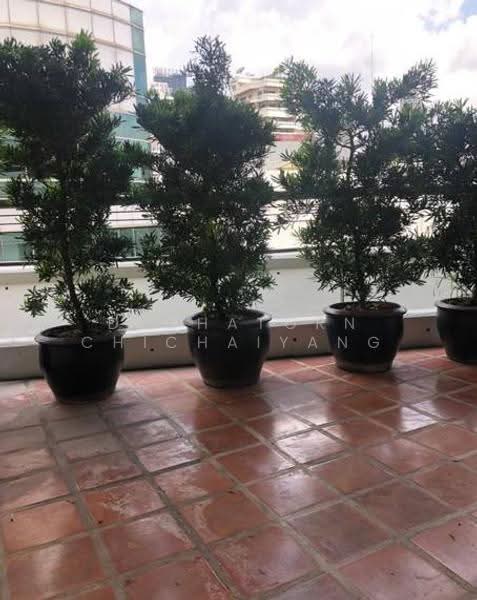 Ma Peng Seng Apartment : มาเปงเส็ง อพาร์ทเม้นท์, กรุงเทพ, ซอยสุขุมวิท 31, คลองเตยเหนือ, วัฒนา, กรุงเทพ, 245 ตร.ม., อพาร์ทเมนท์ ให้เช่า, โดย Dechatorn Chichaiyang, 500551479 - DDproperty.com