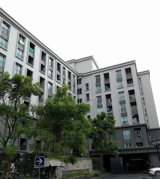Chapter One The Campus Ladprao 1 : แชปเตอร์วัน เดอะแคมปัส ลาดพร้าว 1, กรุงเทพ, ซอยลาดพร้าว 1 ถนนลาดพร้าว, จอมพล, จตุจักร, กรุงเทพ, 29 ตร.ม., คอนโด ขาย, โดย Natthaya Ninkhwan, 500551522 - DDproperty.com