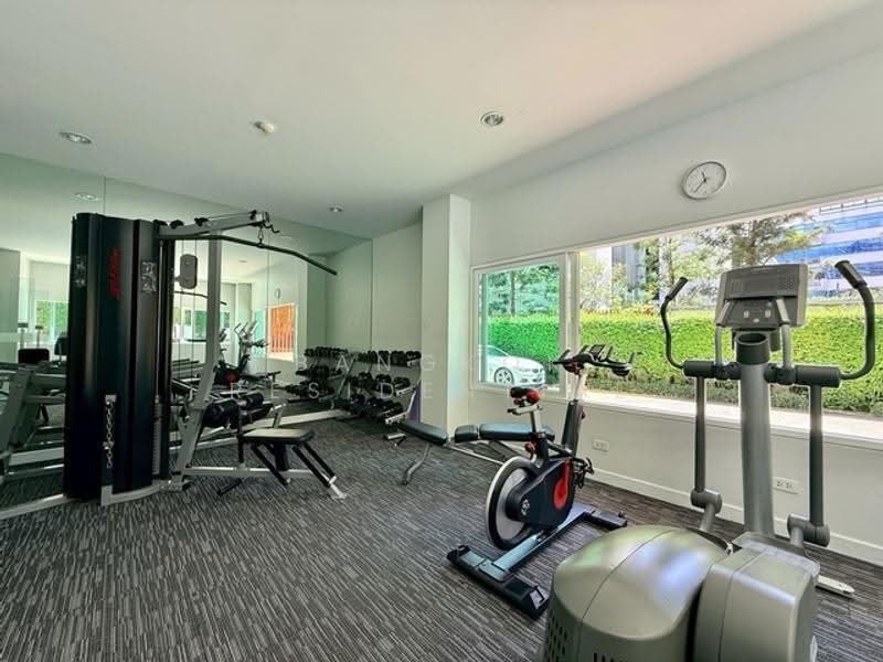 Tonson Court, Bangkok, Ploenchit Road, Lumphini, Pathum Wan, Bangkok, 3 Bedrooms, 240 sqm, Condo For Rent, by Bangkok Residential, 500551547 - DDproperty.com