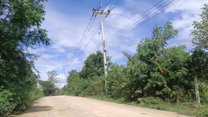 ขายที่ดินวิวภูเขา 10 ไร่ โฉนดครุฑแดง, Nakhon Ratchasima, Khanong Phra, Pak Chong, Nakhon Ratchasima, , 16,000 sqm, Land For Sale, by ทิตา สอนสวัสดิ์, 500551587 - DDproperty.com