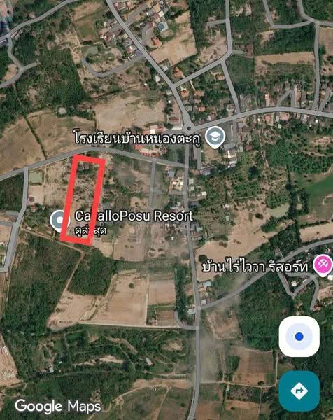 ขายที่ดินวิวภูเขา 10 ไร่ โฉนดครุฑแดง, Nakhon Ratchasima, Khanong Phra, Pak Chong, Nakhon Ratchasima, , 16,000 sqm, Land For Sale, by ทิตา สอนสวัสดิ์, 500551587 - DDproperty.com