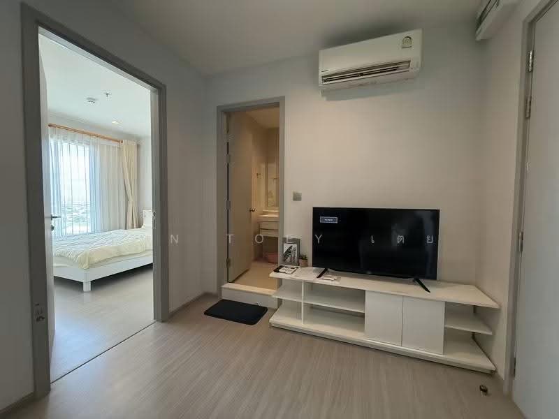 Life Sukhumvit 62 : ไลฟ์ สุขุมวิท 62, กรุงเทพ, ซอยสุขุมวิท 62, บางจาก, พระโขนง, กรุงเทพ, 30 ตร.ม., คอนโด ให้เช่า, โดย Khun Toey เตย, 500551725 - DDproperty.com