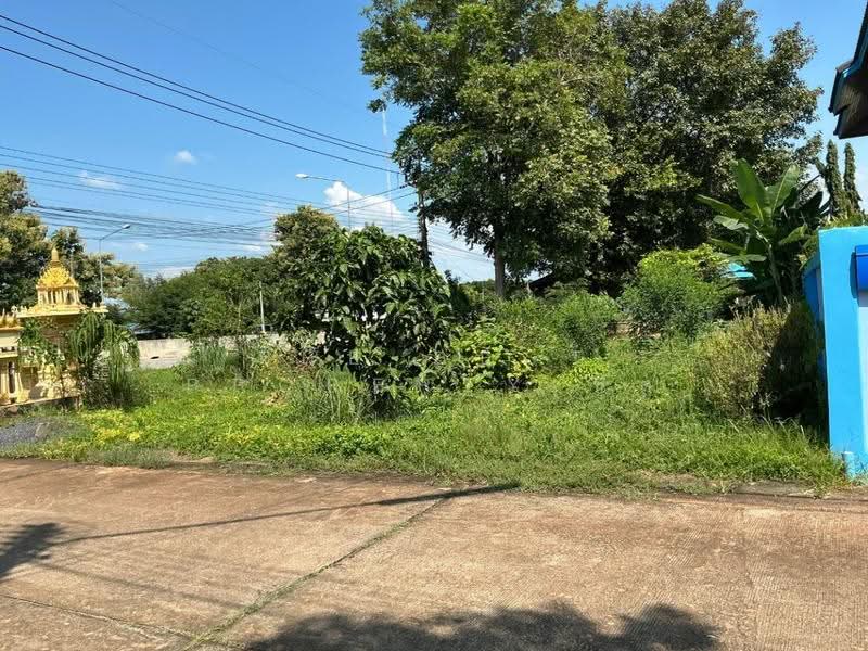 ที่ดินท่าเสา อุตรดิตถ์, Uttaradit, Tha Sao, Muang Uttaradit, Uttaradit, , 392 sqm, Land For Sale, by The Best Property นิด, 500551805 - DDproperty.com