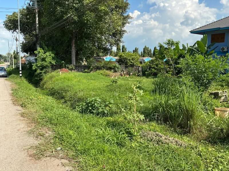 ที่ดินท่าเสา อุตรดิตถ์, Uttaradit, Tha Sao, Muang Uttaradit, Uttaradit, , 392 sqm, Land For Sale, by The Best Property นิด, 500551805 - DDproperty.com