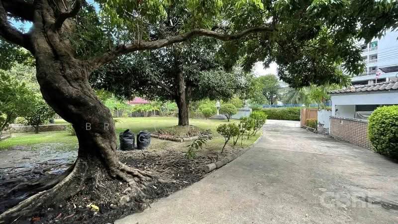 Single House on Sukhumvit 71, Bangkok, Khlong Tan Nua, Watthana, Bangkok, 4 Bedrooms, 426 sqm, Single Detached House For Sale, by CBRE (Thailand) Co.,Ltd, 500551849 - DDproperty.com
