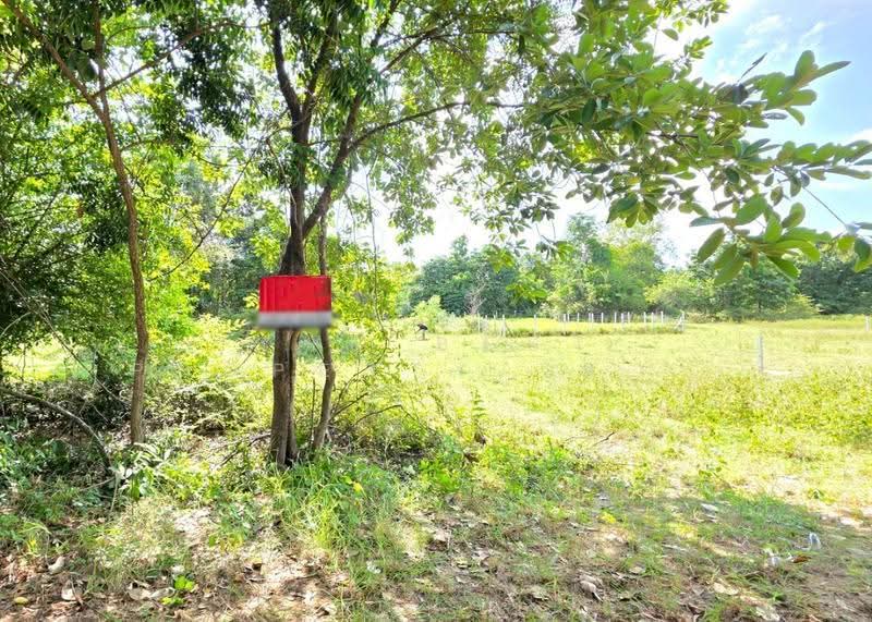 ที่ดินสีแก้ว ร้อยเอ็ด, Roi Et, Si Kaeo, Muang Roi Et, Roi Et, , 316 sqm, Land For Sale, by The Best Property ทองใบ, 500551957 - DDproperty.com