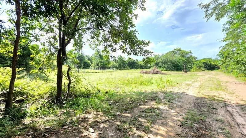 ที่ดินสีแก้ว ร้อยเอ็ด, ร้อยเอ็ด, สีแก้ว, เมืองร้อยเอ็ด, ร้อยเอ็ด, 316 ตร.ม., ที่ดิน ขาย, โดย The Best Property  ทองใบ, 500551957 - DDproperty.com