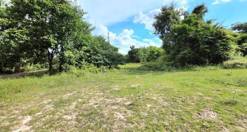 ที่ดินสีแก้ว ร้อยเอ็ด, Roi Et, Si Kaeo, Muang Roi Et, Roi Et, , 316 sqm, Land For Sale, by The Best Property ทองใบ, 500551957 - DDproperty.com