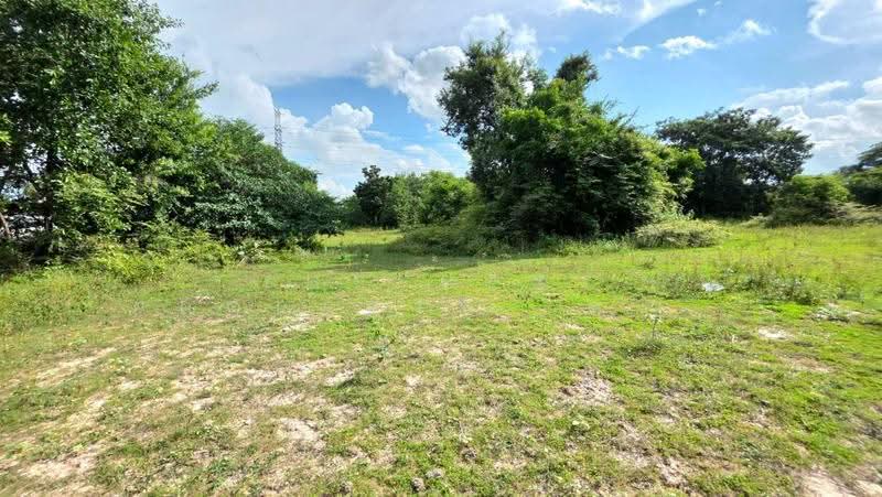 ที่ดินสีแก้ว ร้อยเอ็ด, Roi Et, Si Kaeo, Muang Roi Et, Roi Et, , 316 sqm, Land For Sale, by The Best Property ทองใบ, 500551957 - DDproperty.com