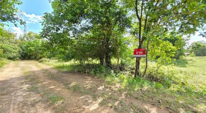 ที่ดินสีแก้ว ร้อยเอ็ด, ร้อยเอ็ด, สีแก้ว, เมืองร้อยเอ็ด, ร้อยเอ็ด, 316 ตร.ม., ที่ดิน ขาย, โดย The Best Property  ทองใบ, 500551957 - DDproperty.com