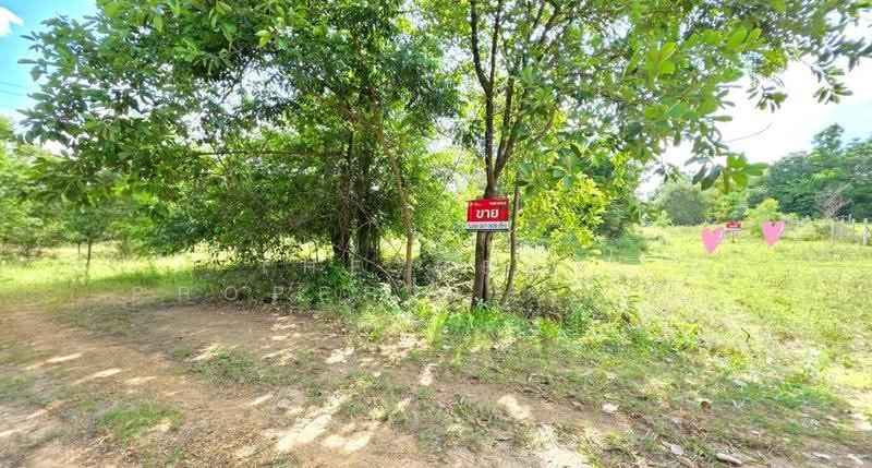 ที่ดินสีแก้ว ร้อยเอ็ด, ร้อยเอ็ด, สีแก้ว, เมืองร้อยเอ็ด, ร้อยเอ็ด, 316 ตร.ม., ที่ดิน ขาย, โดย The Best Property  ทองใบ, 500551957 - DDproperty.com