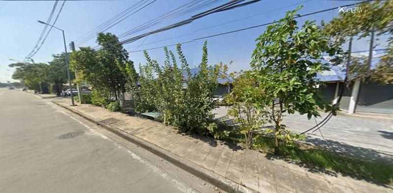 ที่ดินแปลงใหญ่ 1-3-11.9 ไร่ หน้ากว้าง 120 เมตร ติดถนนพุทธมณฑลสาย 3 โอกาสทองของนักลงทุน, Bangkok, Thawi Watthana, Bangkok, , 2,848 sqm, Land For Sale, by รชตวัน บุญประสิทธิ์, 500552123 - DDproperty.com
